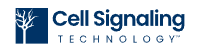 Multiplex Oligos for Illumina Systems (